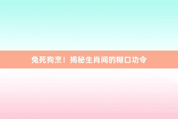 兔死狗烹！揭秘生肖间的糊口功令