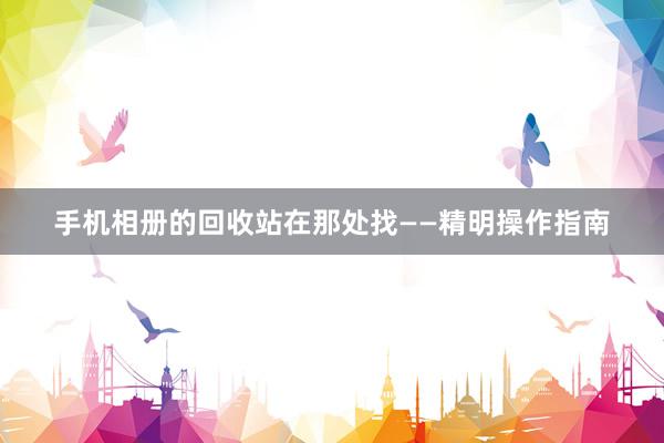手机相册的回收站在那处找——精明操作指南