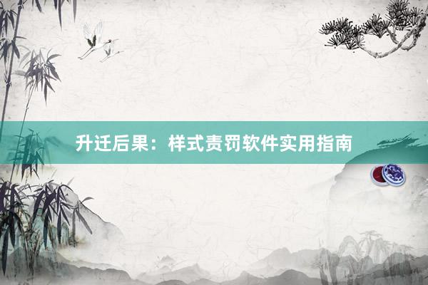 升迁后果：样式责罚软件实用指南
