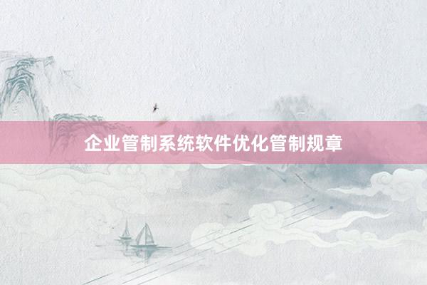 企业管制系统软件优化管制规章