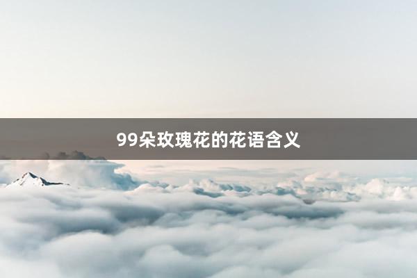 99朵玫瑰花的花语含义