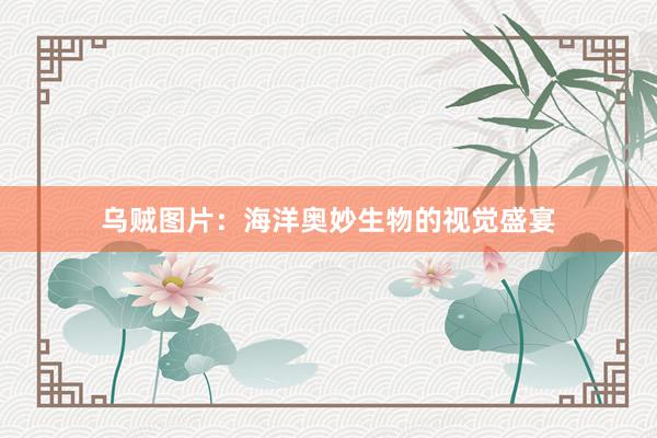 乌贼图片：海洋奥妙生物的视觉盛宴